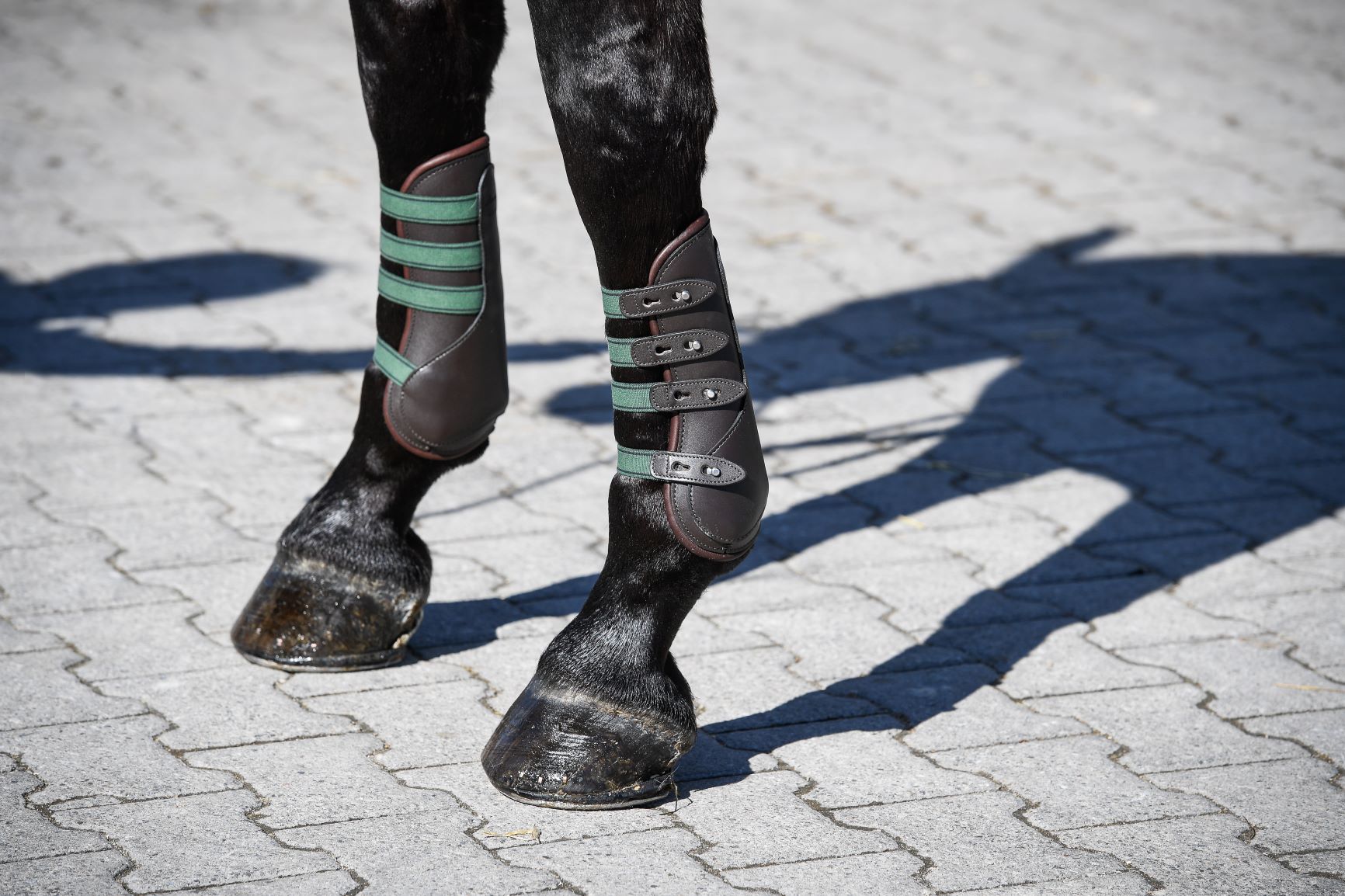 Amerigo Gamaschen mit Knopfverschluss