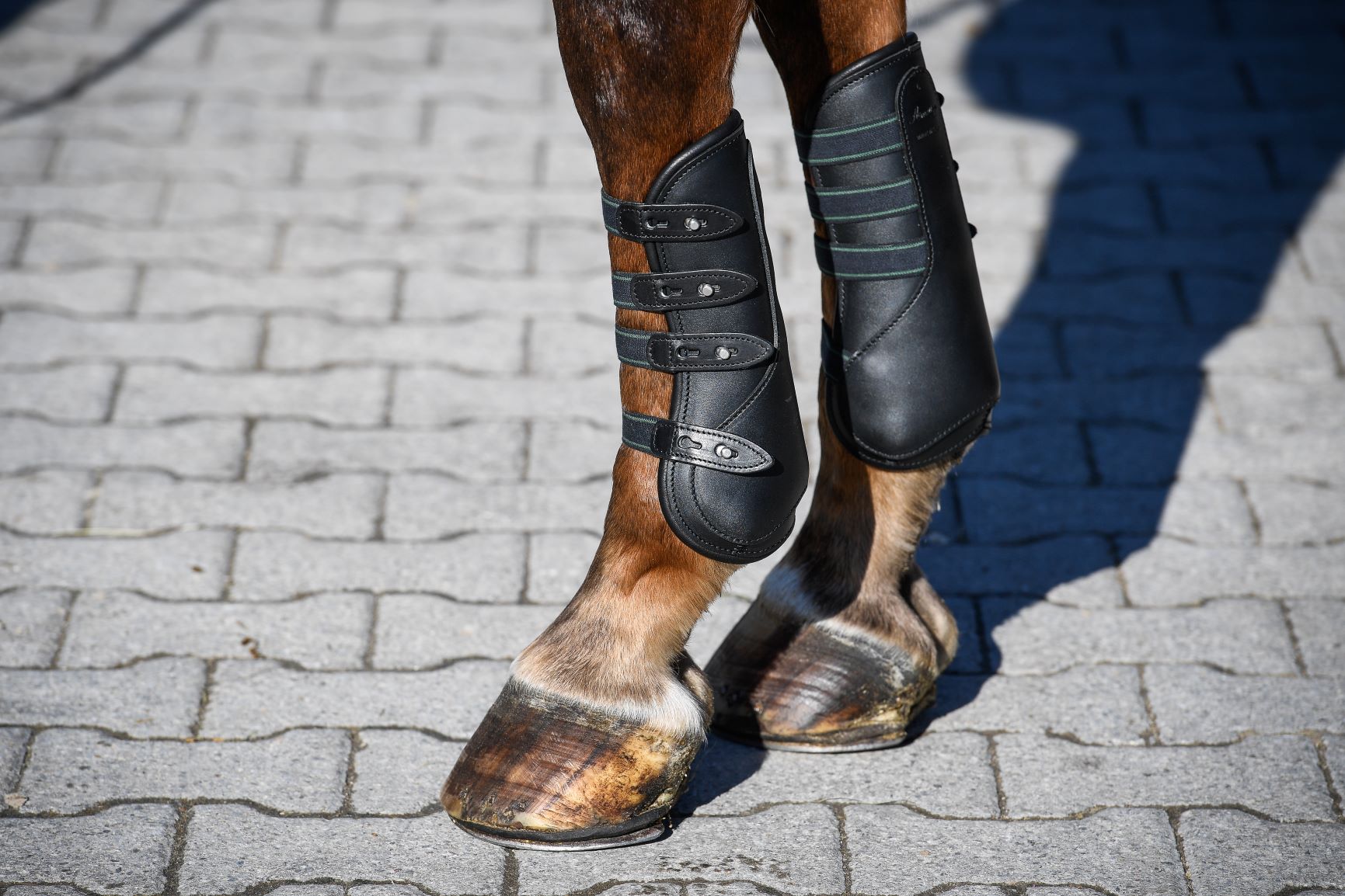 Amerigo Gamaschen mit Knopfverschluss