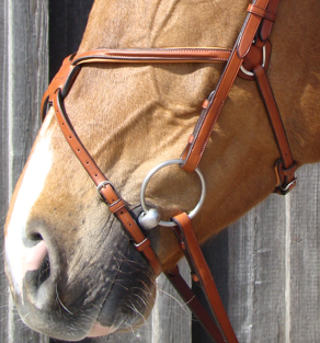 Vespucci Mex. Nasenband