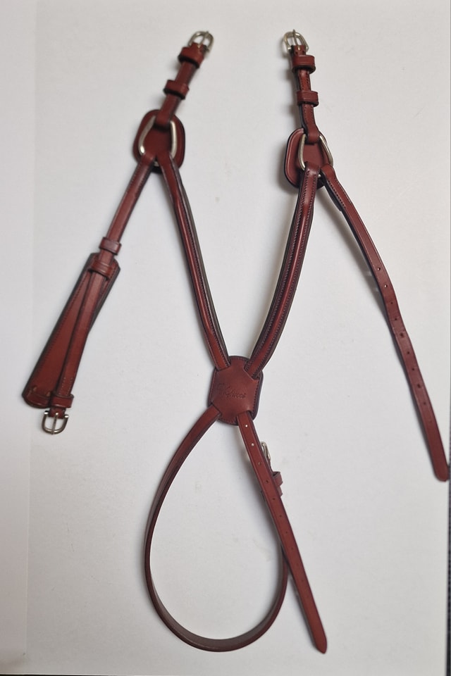 Vespucci Mex. Nasenband