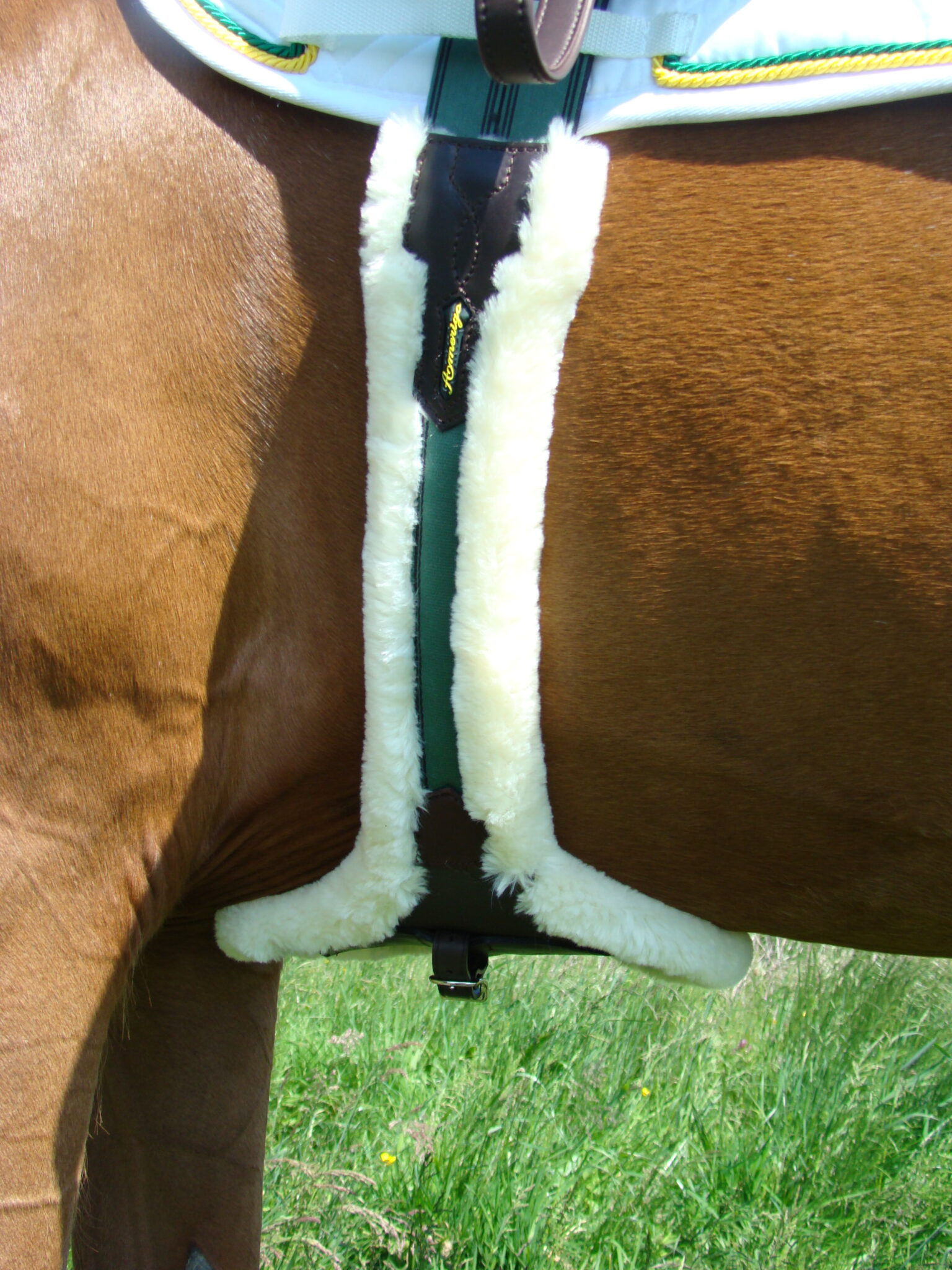 Amerigo Protector Gurt mit Fell