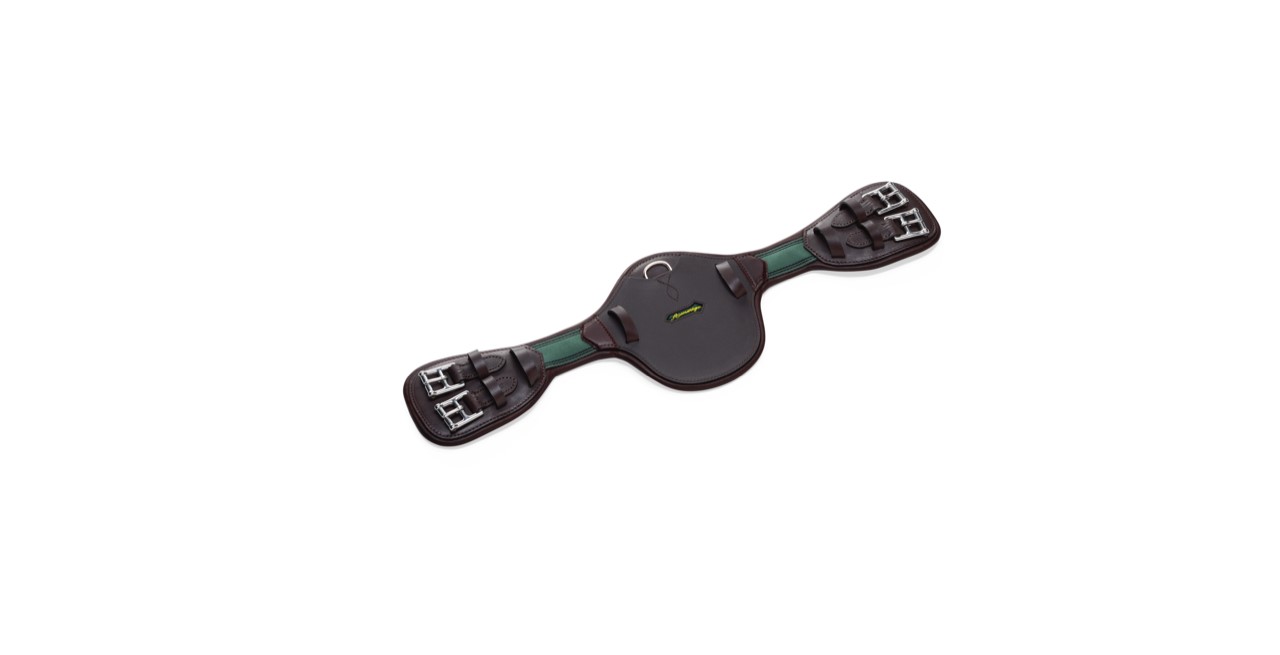 Amerigo Protector Dressage