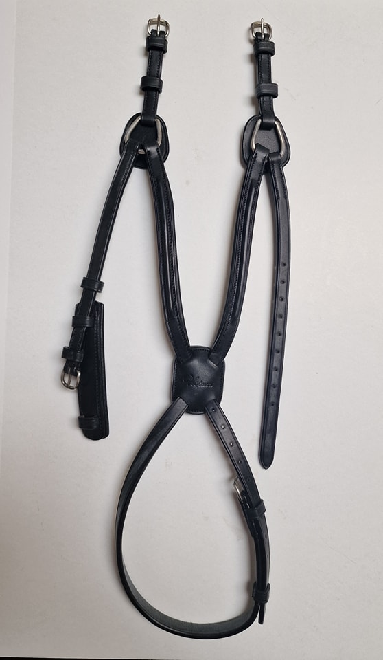 Vespucci Mex. Nasenband