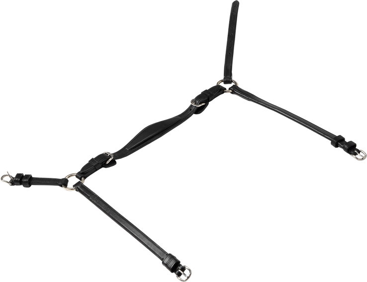 Vespucci Hann. Nasenband mit Schnalle