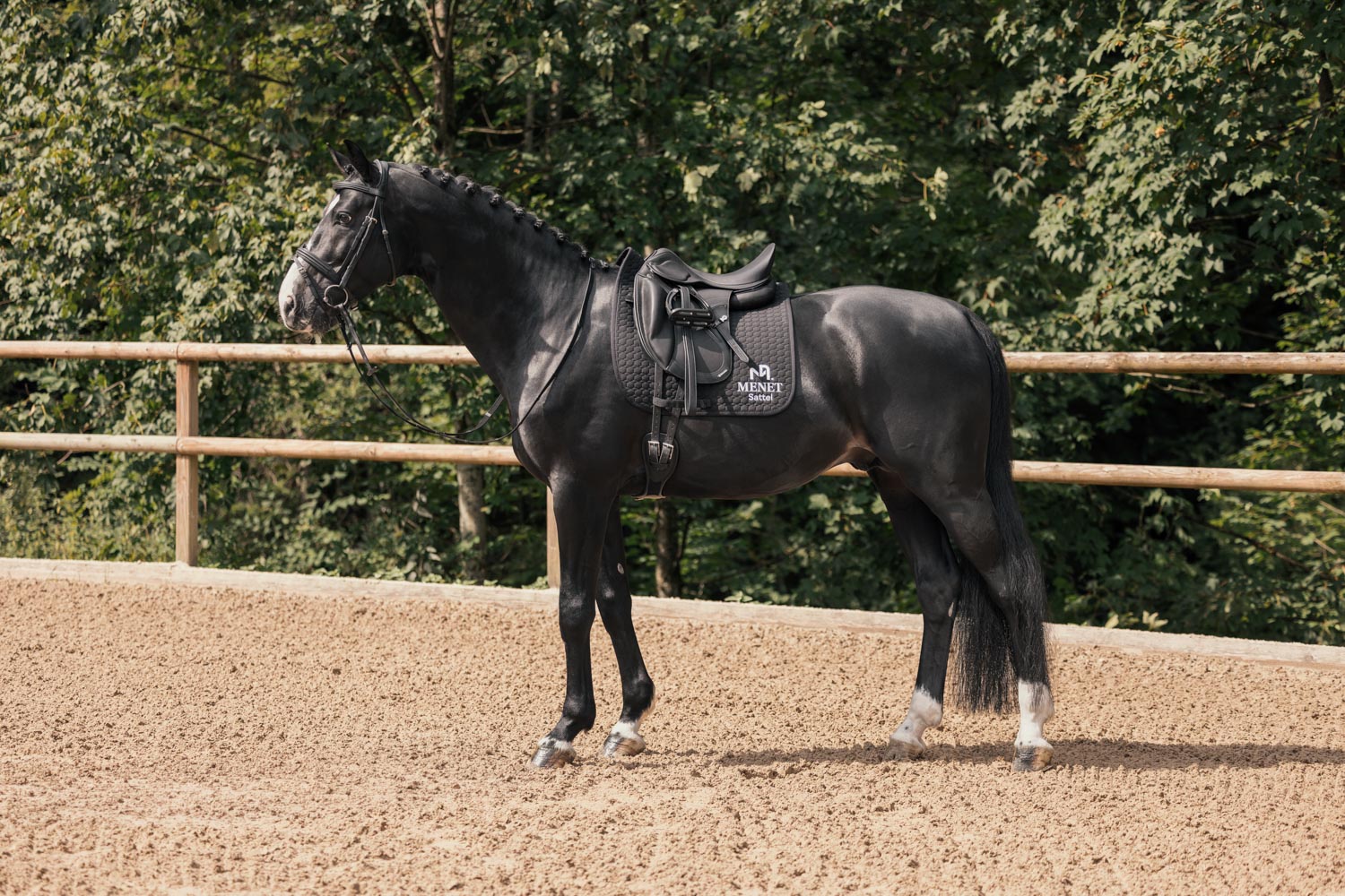 Menetics_Saddles_Dressur_11