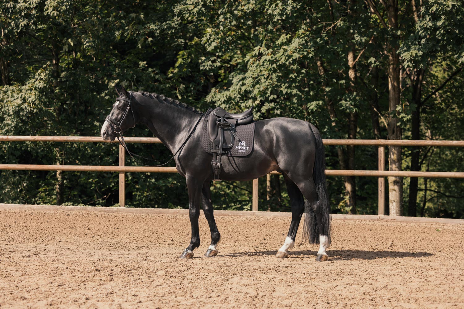 Menetics_Saddles_Dressur_9