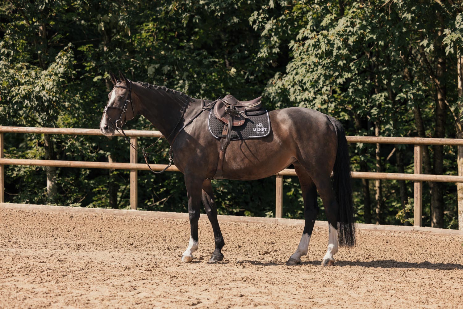 Menetics_Saddles_Spring_10