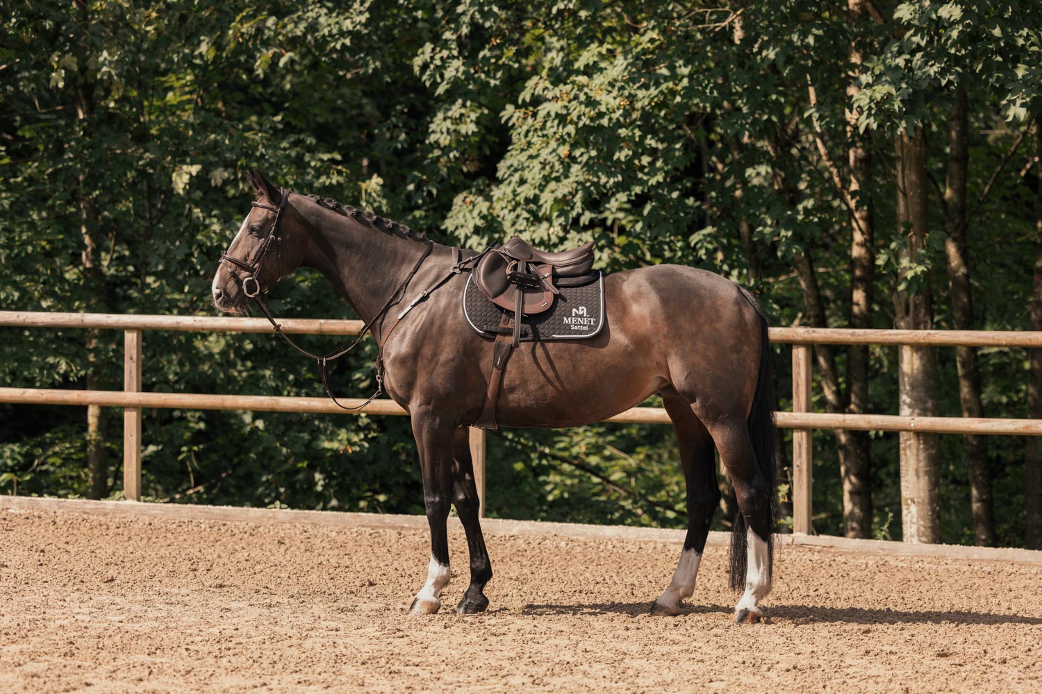 Menetics_Saddles_Spring_13